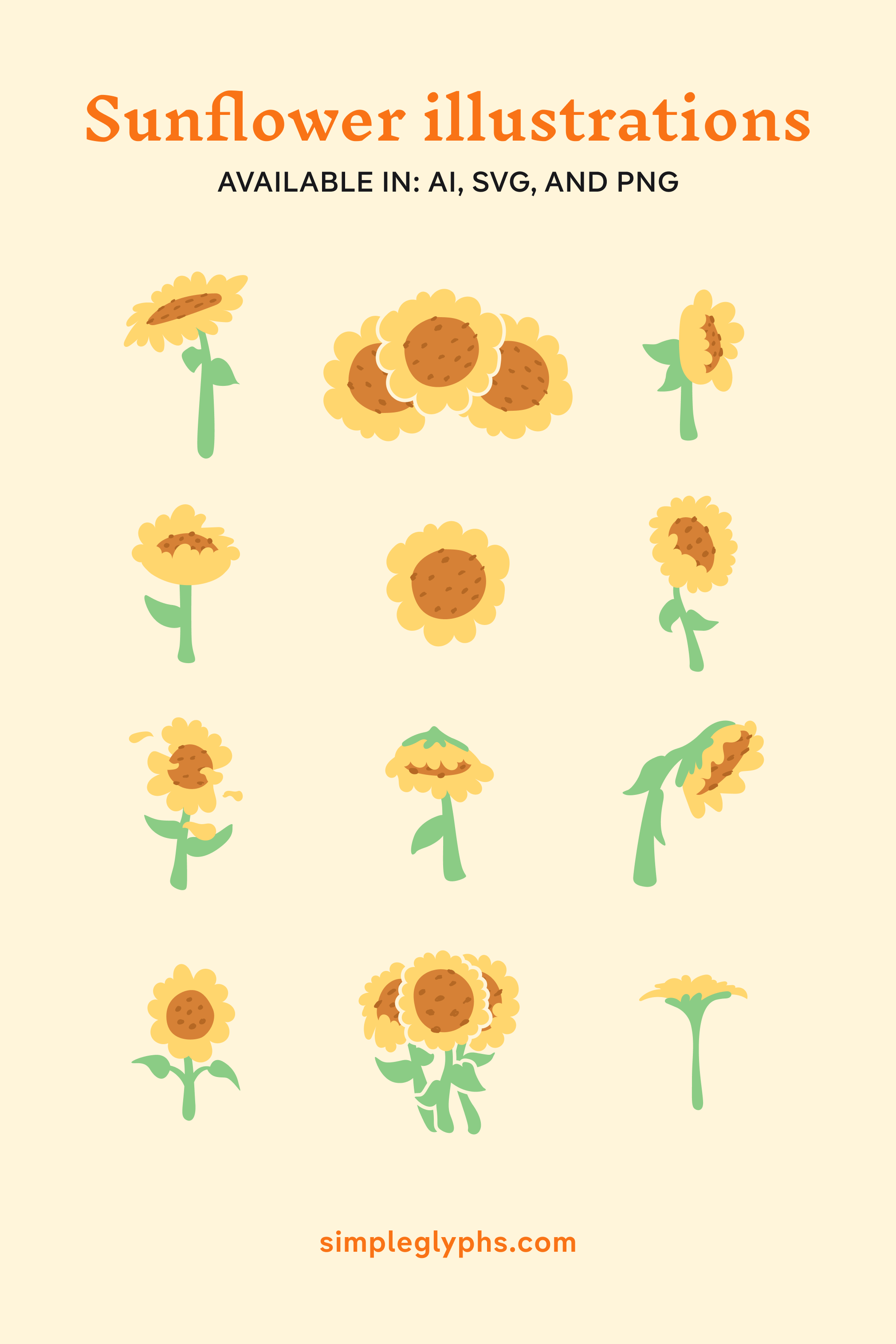 Sunflower Seamless Patterns and Illustrations