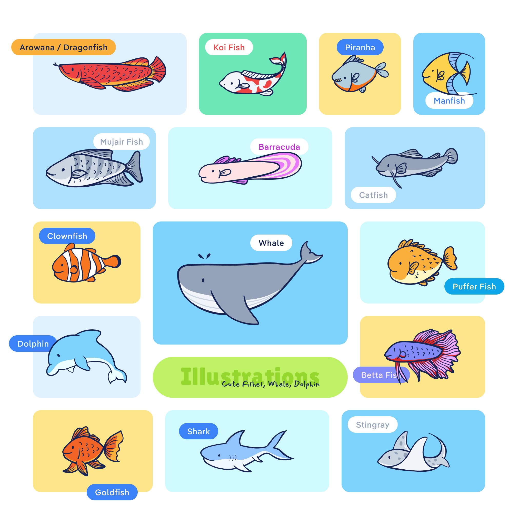 Cute Fishes, Whale, Dolphin Illustrations