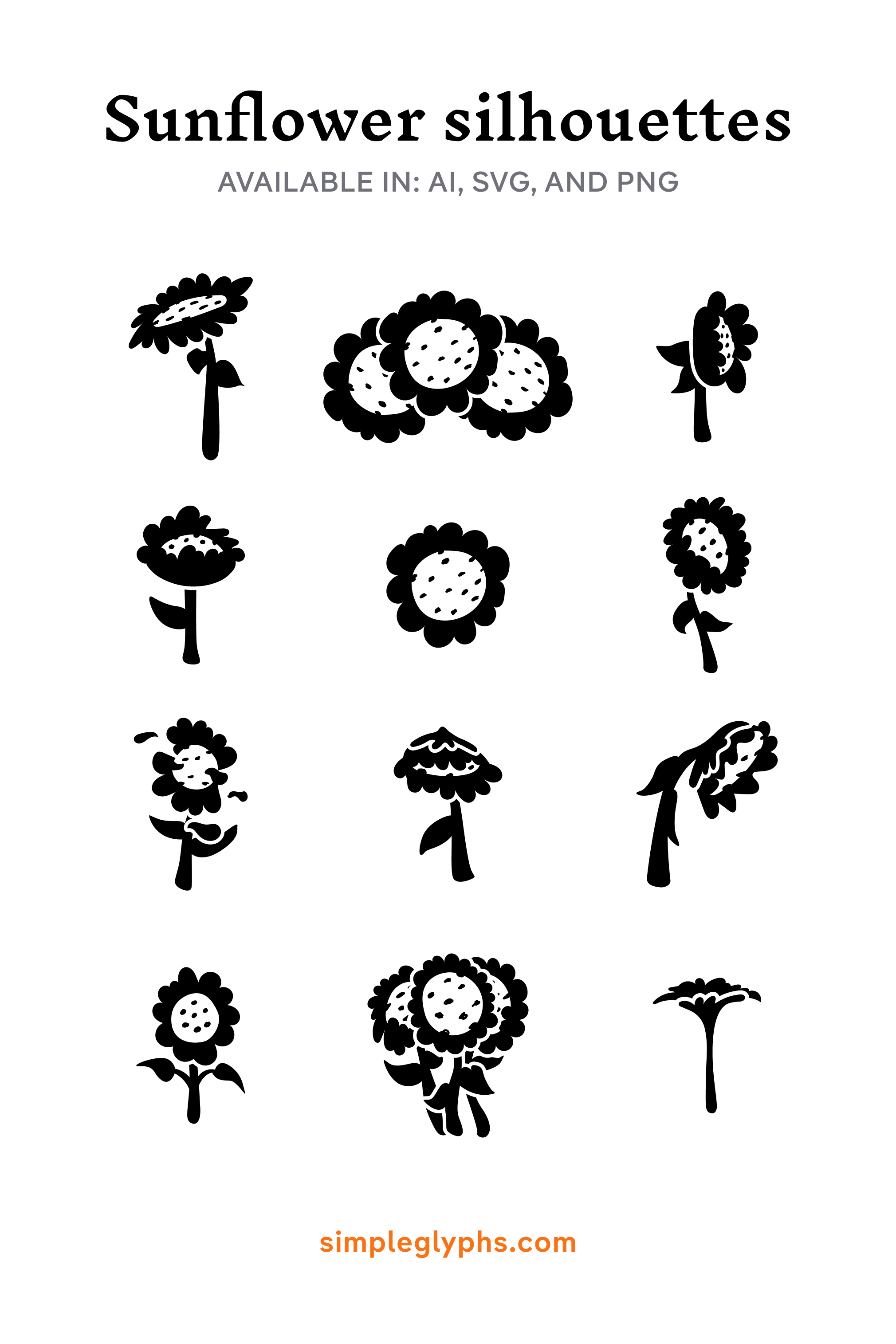 Sunflower Seamless Patterns and Illustrations